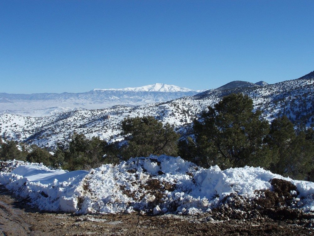 View of the Wheeler Deposit at Pine Grove with Mt. Grant in the distance